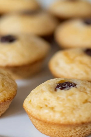 Lunch Box Mini Muffins and Yogurt Recipe