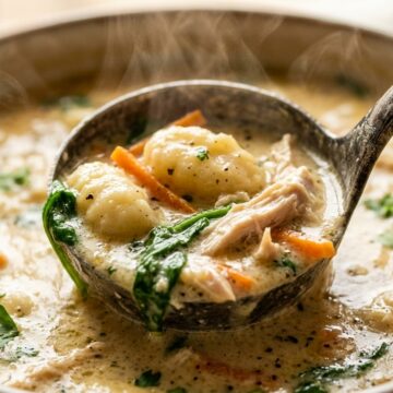 Ultra close-up macro of creamy garlic chicken and gnocchi soup in a ladle with potato gnocchi, spinach, and shredded chicken