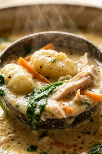 Ultra close-up macro of creamy garlic chicken and gnocchi soup in a ladle with potato gnocchi, spinach, and shredded chicken